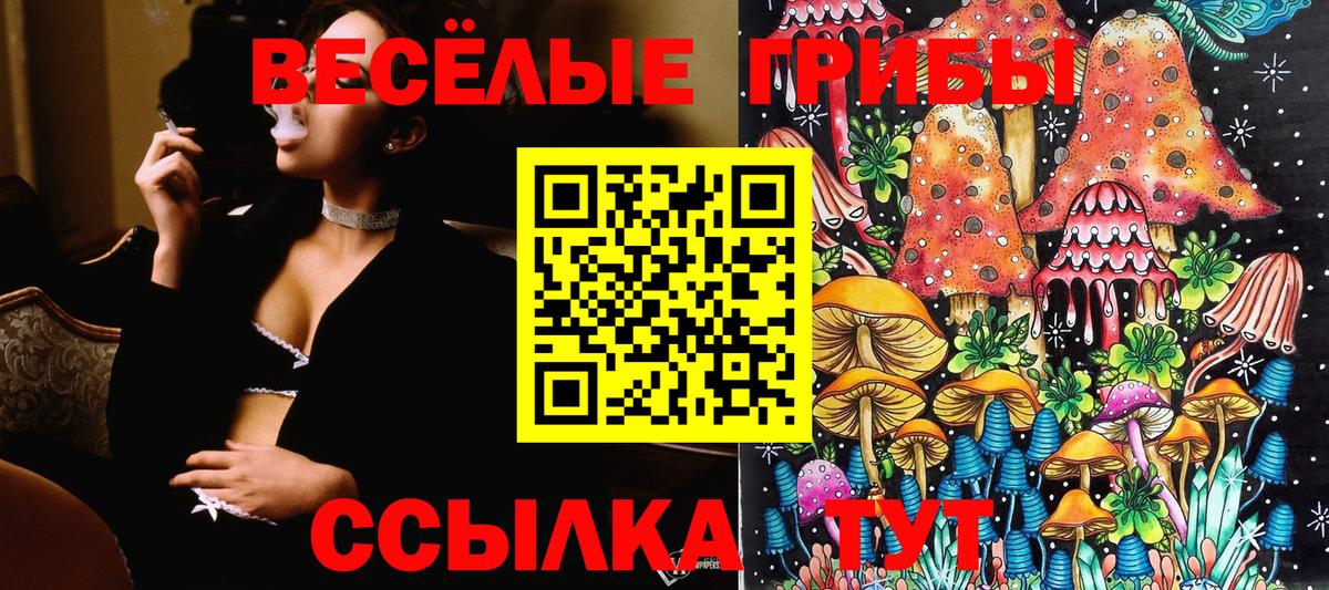 Псилоцибиновые грибы прущие грибы Елец