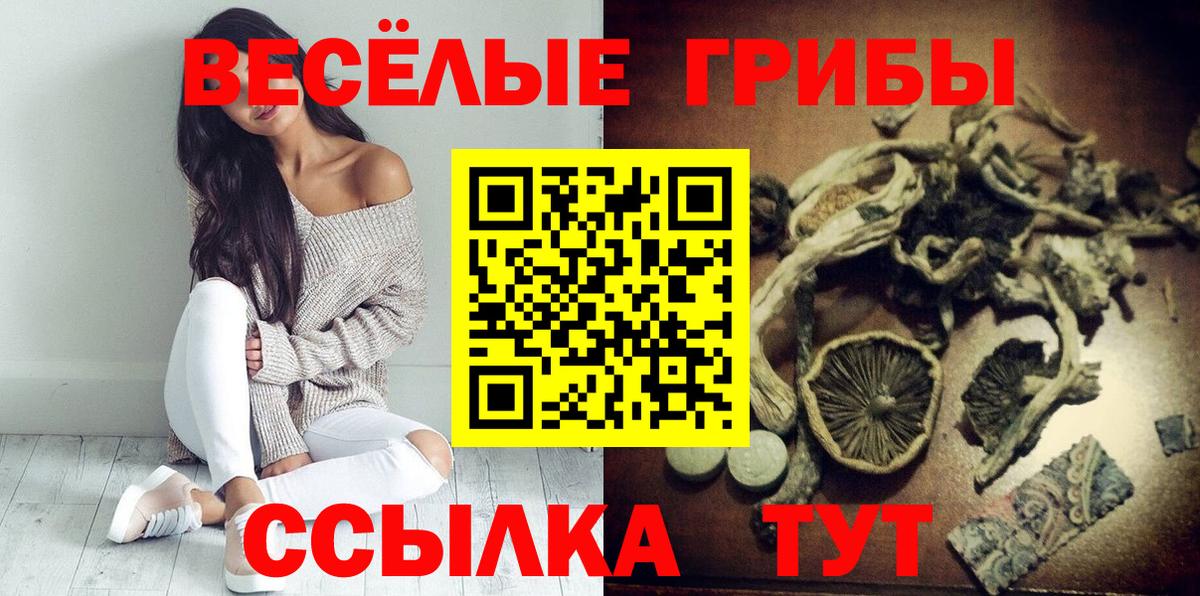 Псилоцибиновые грибы Cubensis  Вход с VPN  Елец 